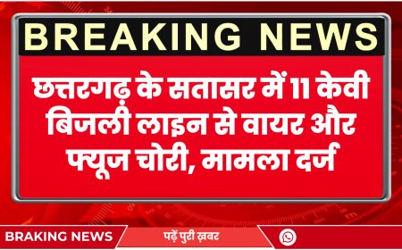 छत्तरगढ़ के सतासर में 11 केवी बिजली लाइन से वायर और फ्यूज चोरी, मामला दर्ज