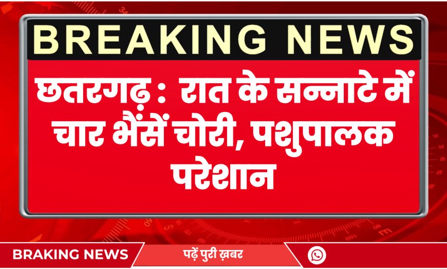 Chhatargarh News: रात के सन्नाटे में चार भैंसें चोरी, पशुपालक परेशान