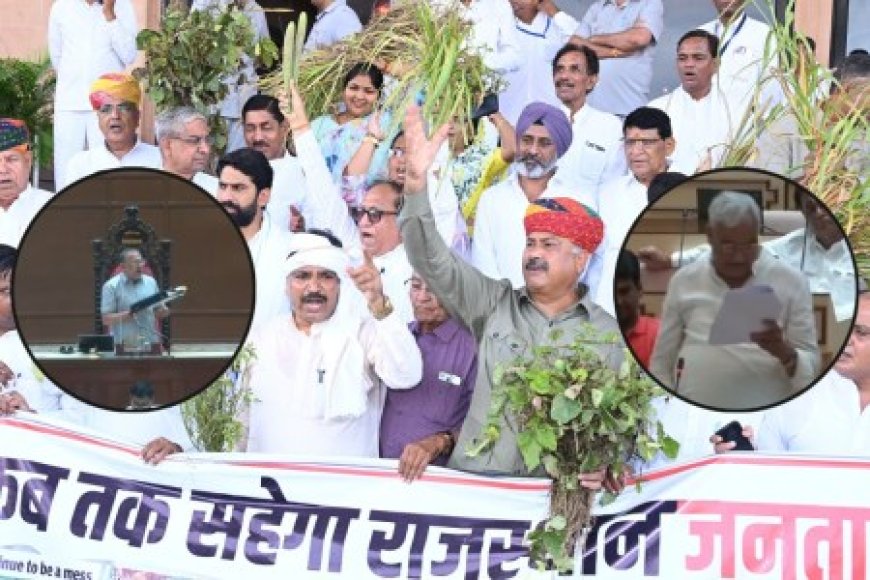Rajasthan: ‘बहरी सरकार को सुनाने को लिए तेज बोल रहा हूं’, जूली ने कसा तंज; हंगामे के बीच ये 3 बिल पारित