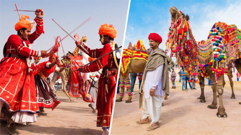 Bikaner camel festival